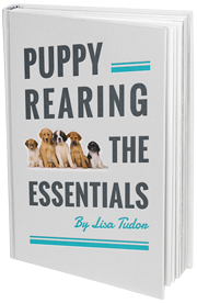Puppy Rearing- The Essentials